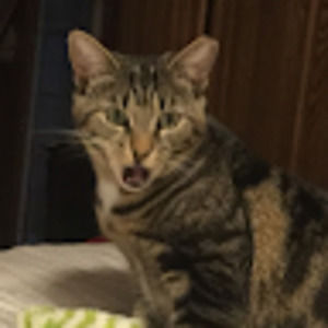 Meet your Posher, Lynn